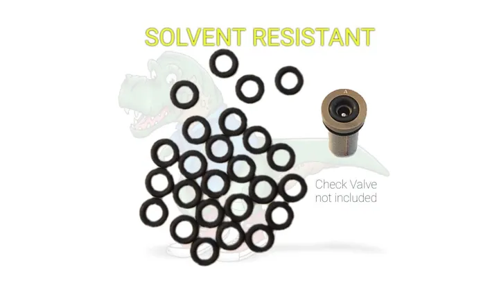 Check valve Manifold O-ring (25 Pack) - 248133SR
