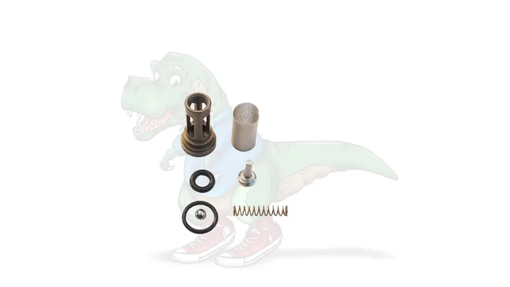 B Side Check Valve Assembly - 246352