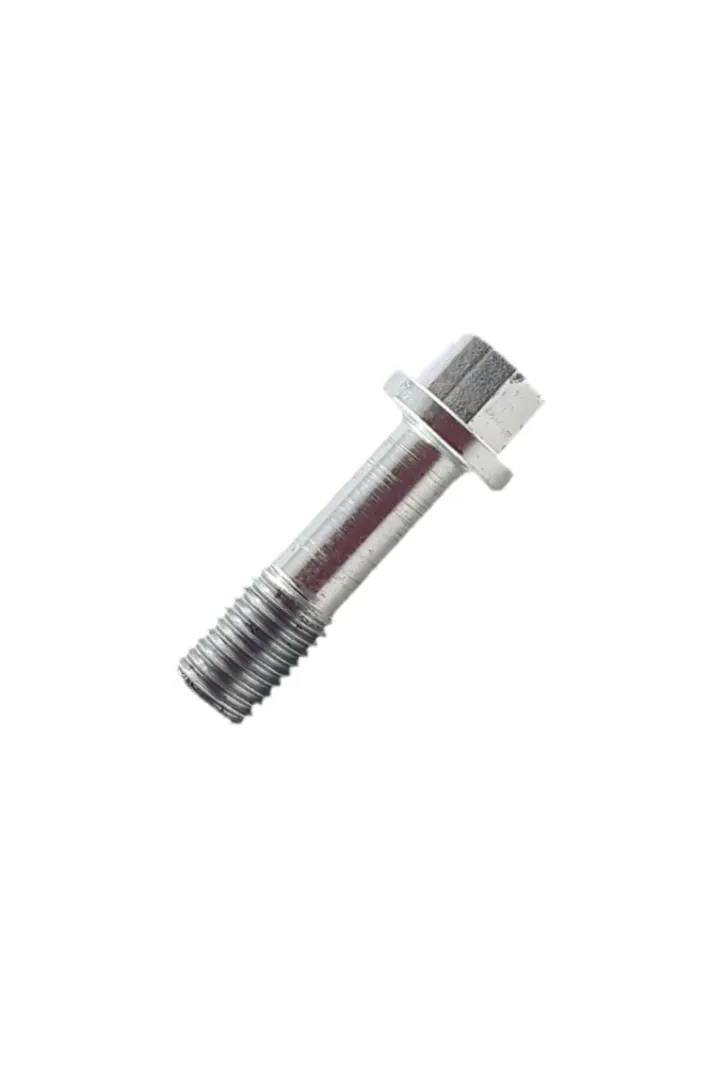 Graco Fluid Manifold Bolt -15B221