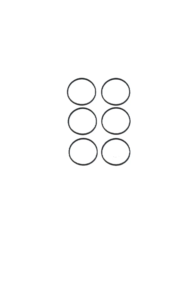 Graco CS Large Front Housing O-ring (6 Pack) - 248132
