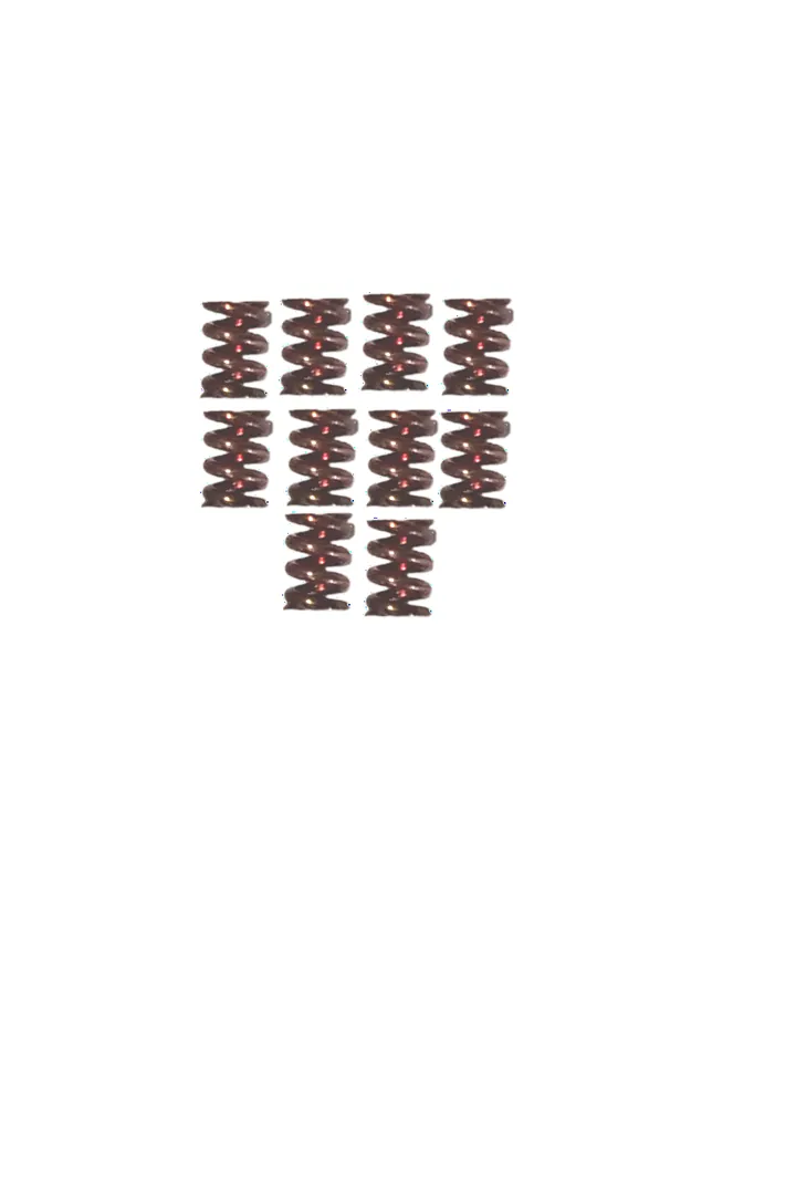 Graco CS Side Seal Spring (10 Pack) - 256923