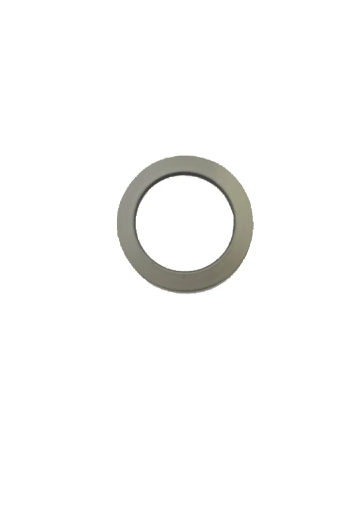 Graco Wye Strainer Inlet Gasket - 15H200