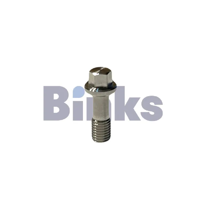 ST1 MANIFOLD SCREW (2 PACK) - 336356